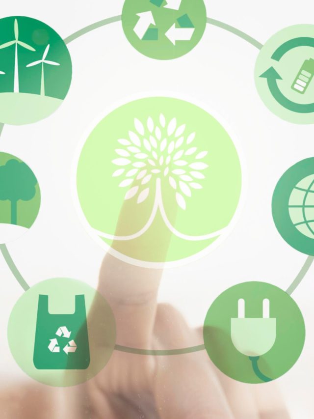 Tecnologias Sustentáveis  4 modelos para valorizar seu negócio