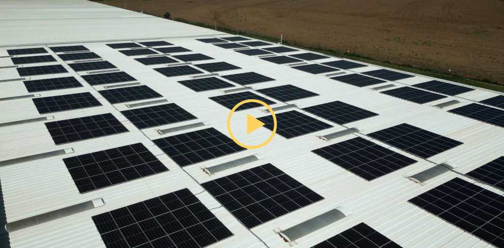 Vídeo da usina fotovoltaica do Ceaflor.