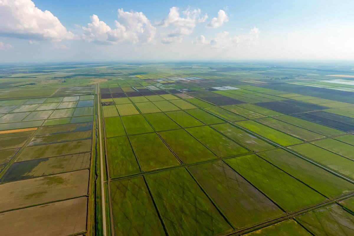 O BNDES disponibilizará R$ 66,5 bilhões no Plano Safra 2024/2025 para financiar investimentos da agricultura brasileira, maior orçamento já oferecido pelo Banco.