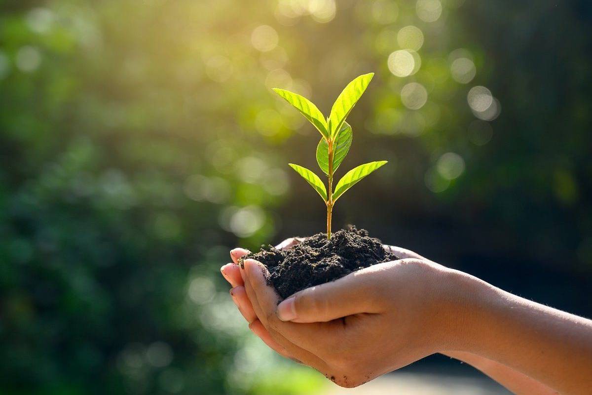 sustainable_growth_istock