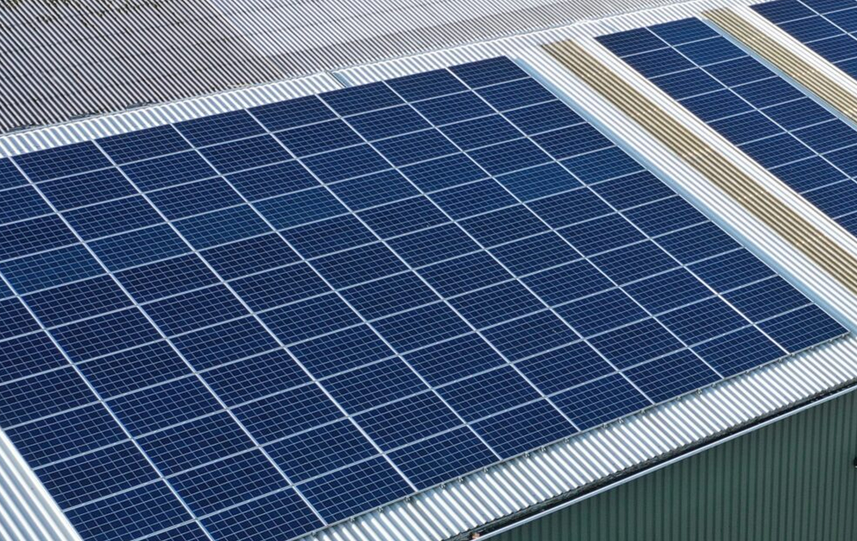 Sustentabilidade como fator estratégico na empresa.