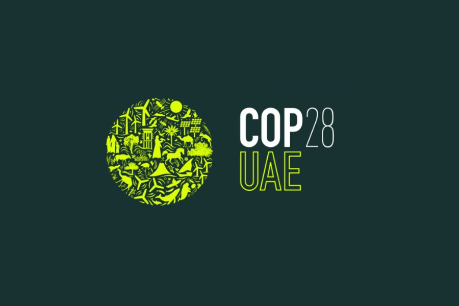cop-28