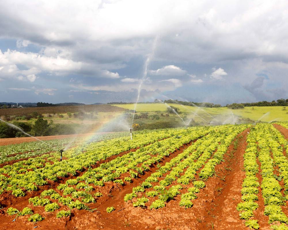 Energia contínua para a irrigação.