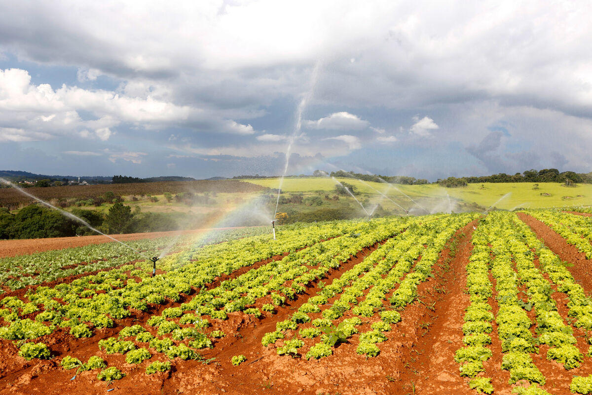 Energia contínua para a irrigação.